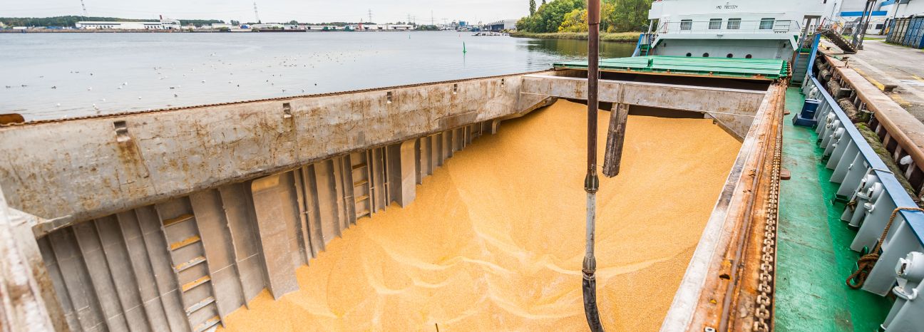 ©_O.Malzahn__LPA_735239 ©_O.Malzahn__LPA_735239