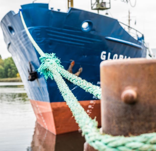 ©_O.Malzahn__LPA_734908 ©_O.Malzahn__LPA_734908